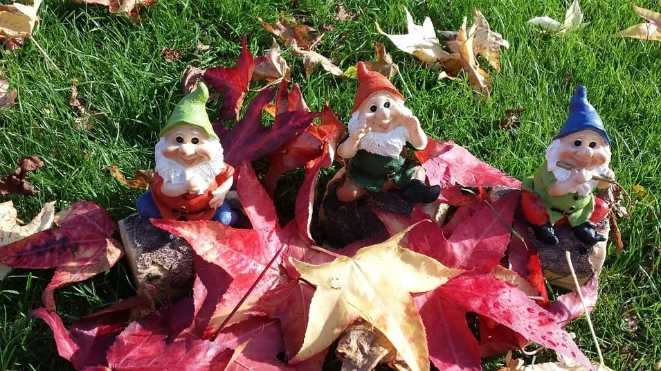 kabouters van de veluwe