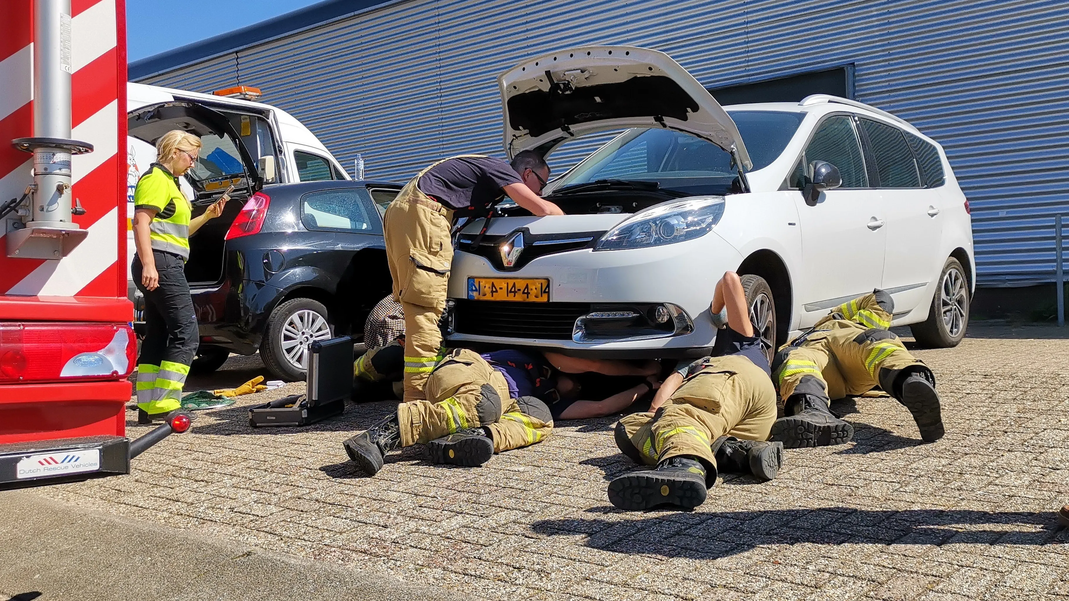 kat gevangen in auto