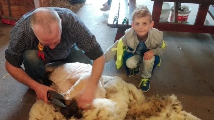 kids van bzzzonder