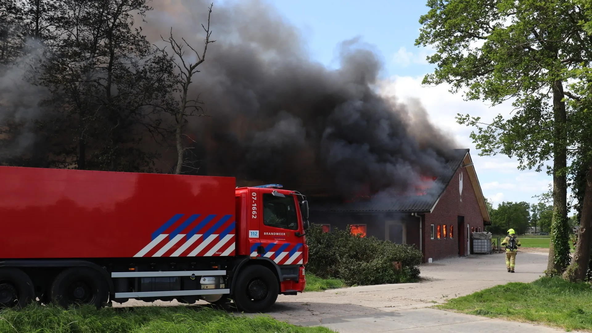 kippenschuur harskamp