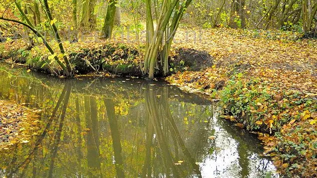 kleine barneveldjebeek 1507