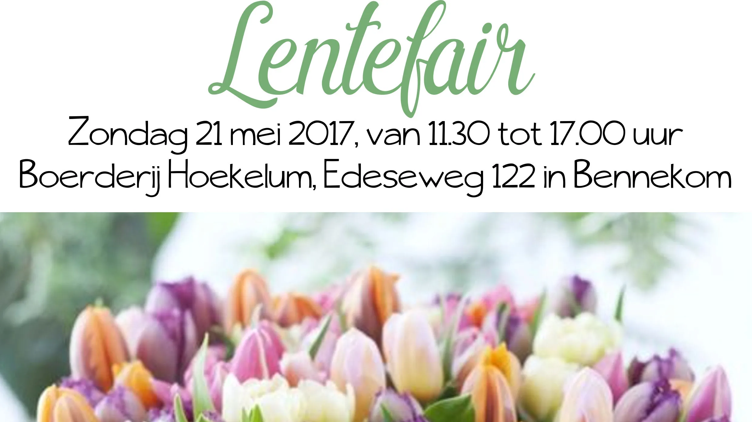 lentefair zondag 21 mei 2017