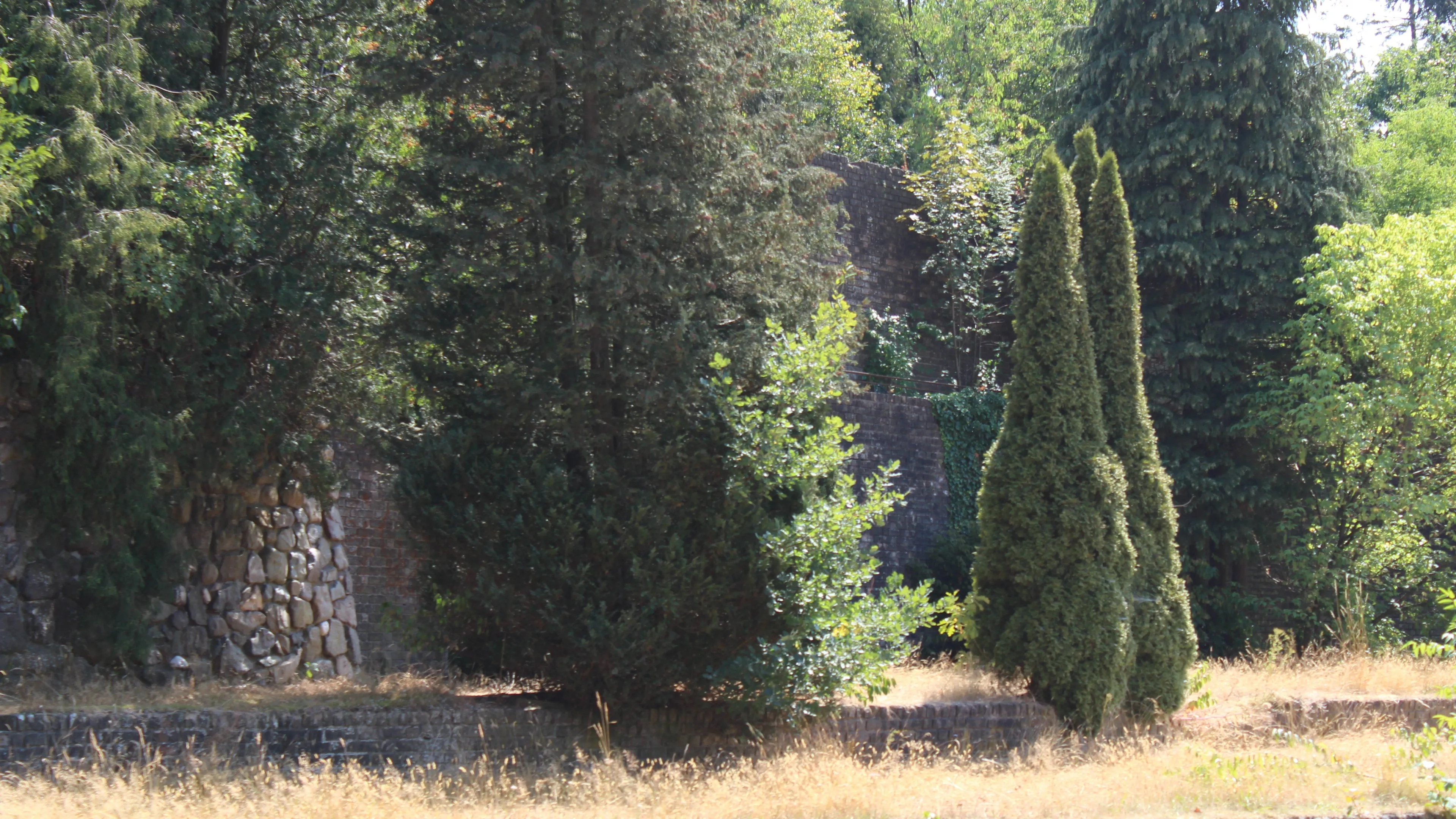 muur van mussert edenieuwsnl