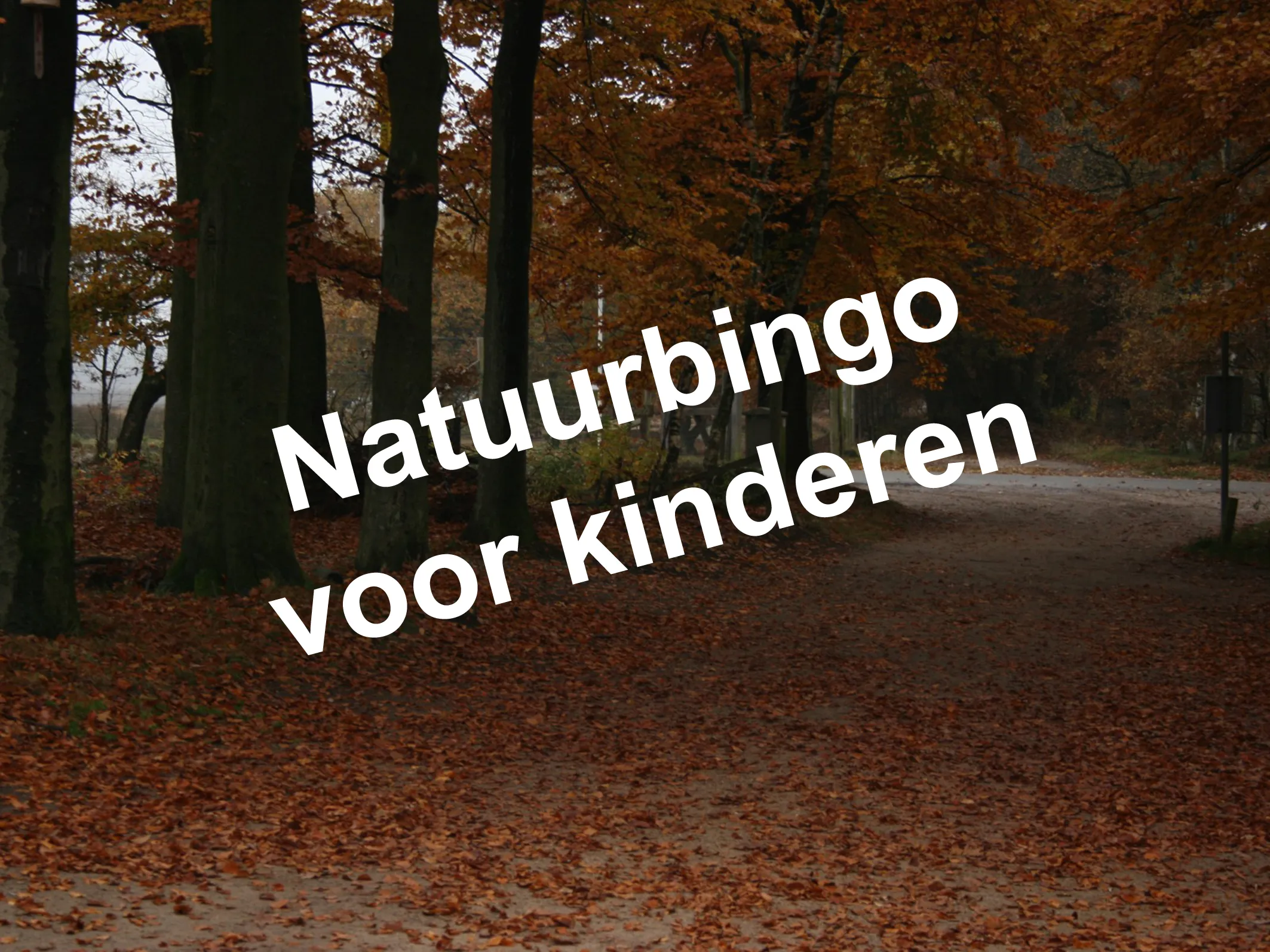 natuurbingo nc veluwe