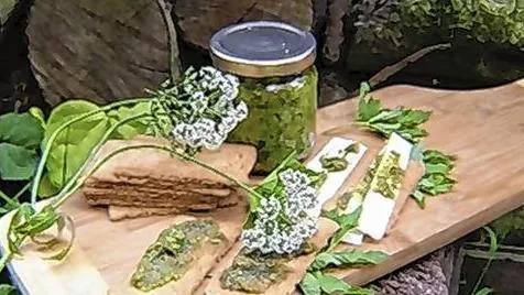 natuursla
