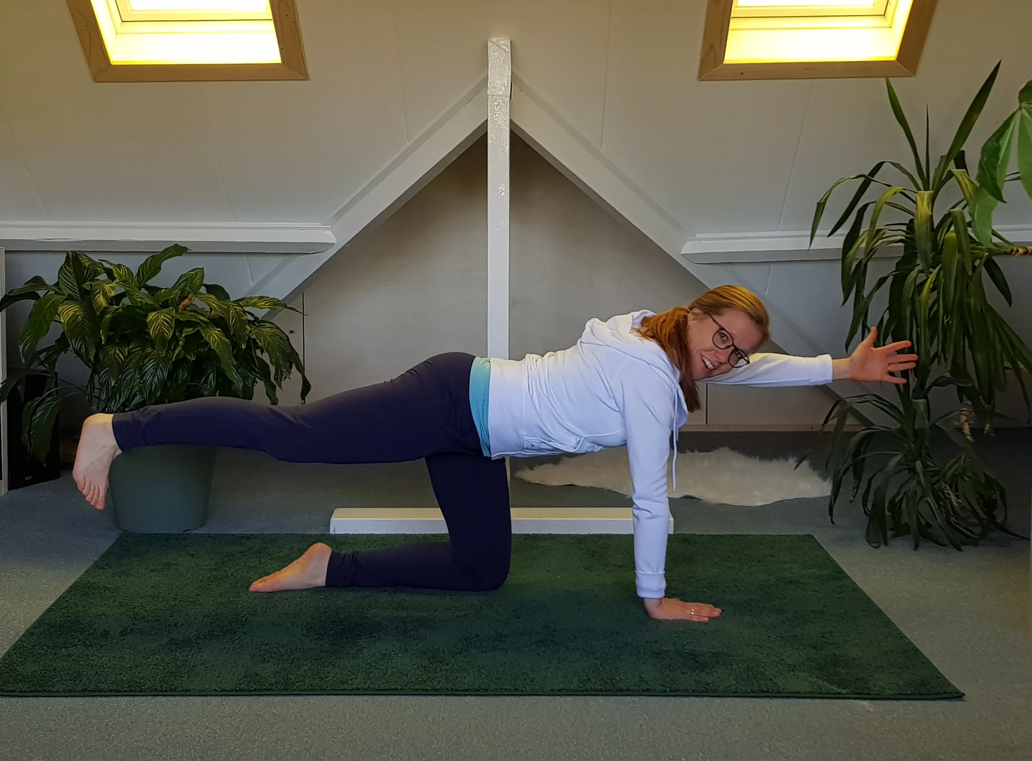 op zolder aan de yoga evenwichts kat