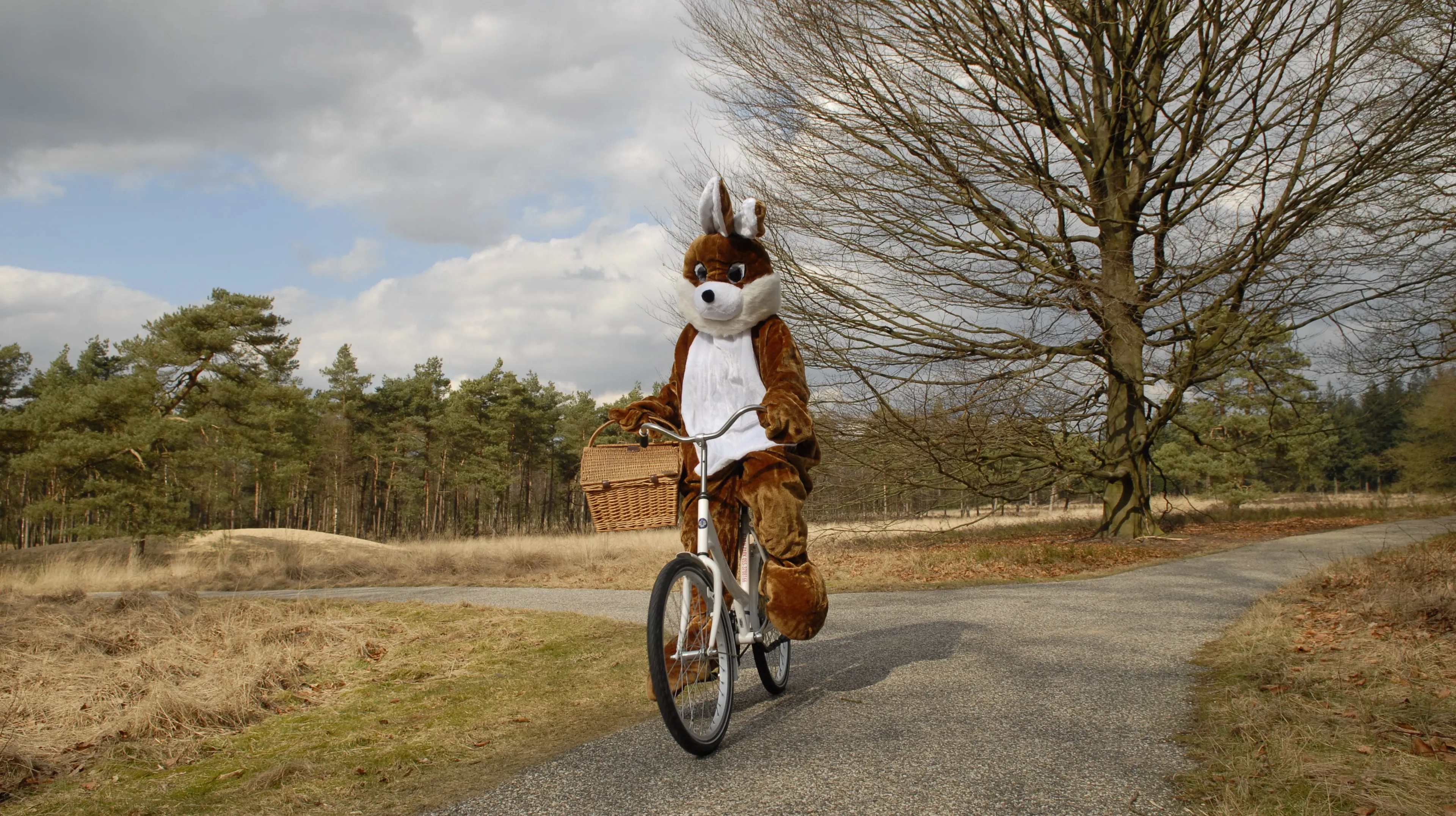 park de hoge veluwe
