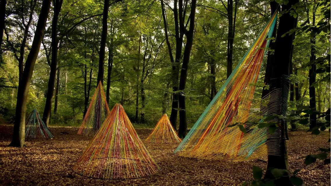 pb064 woest en bijster 2klein