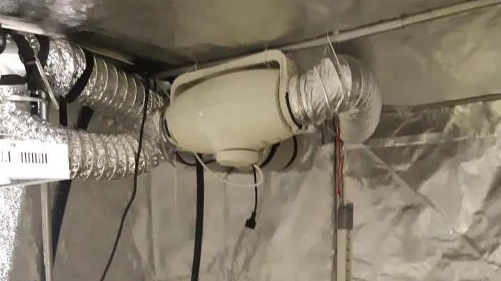 politie ede weet teelt