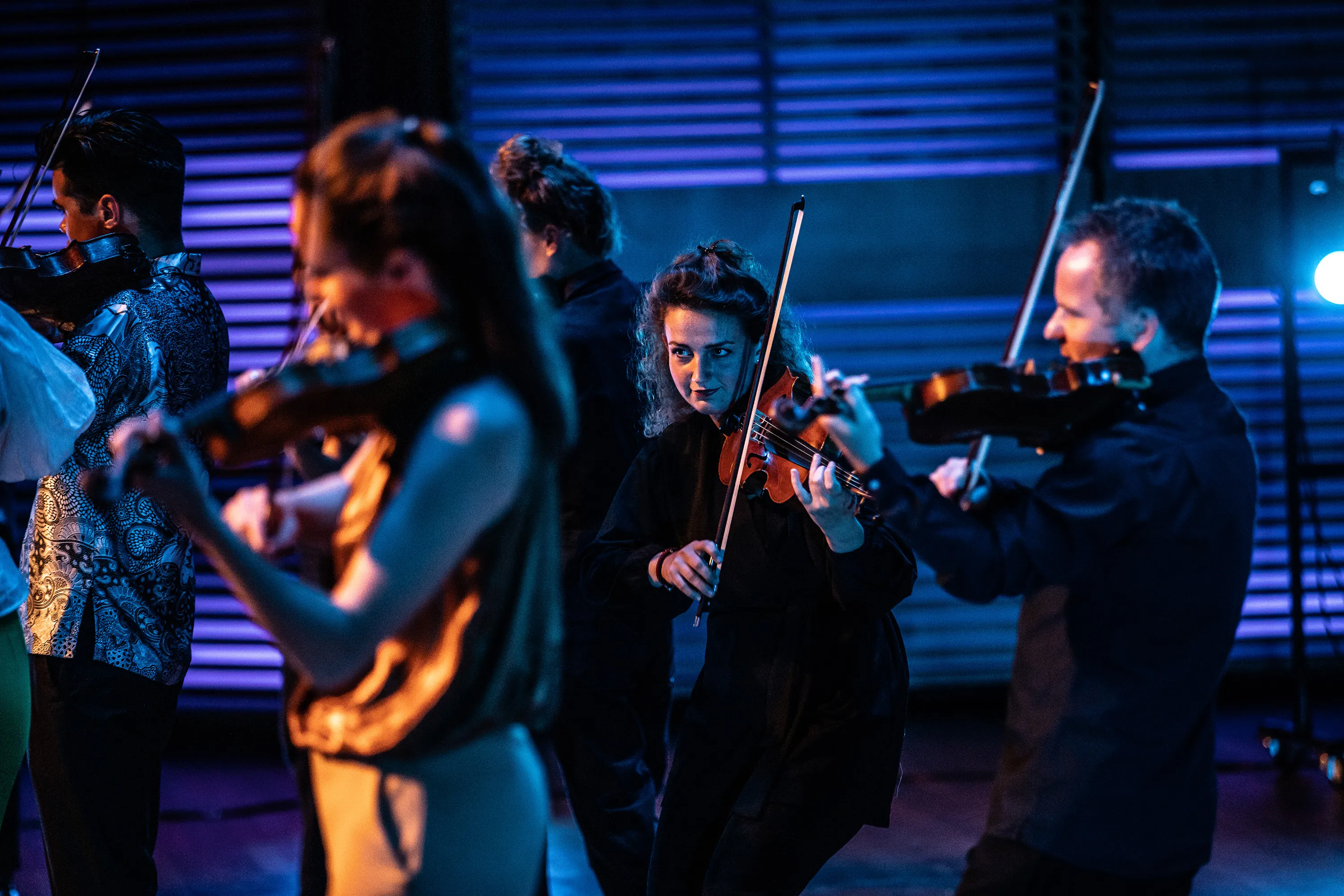 pynarello guilty pleasurescmellemeivogel web