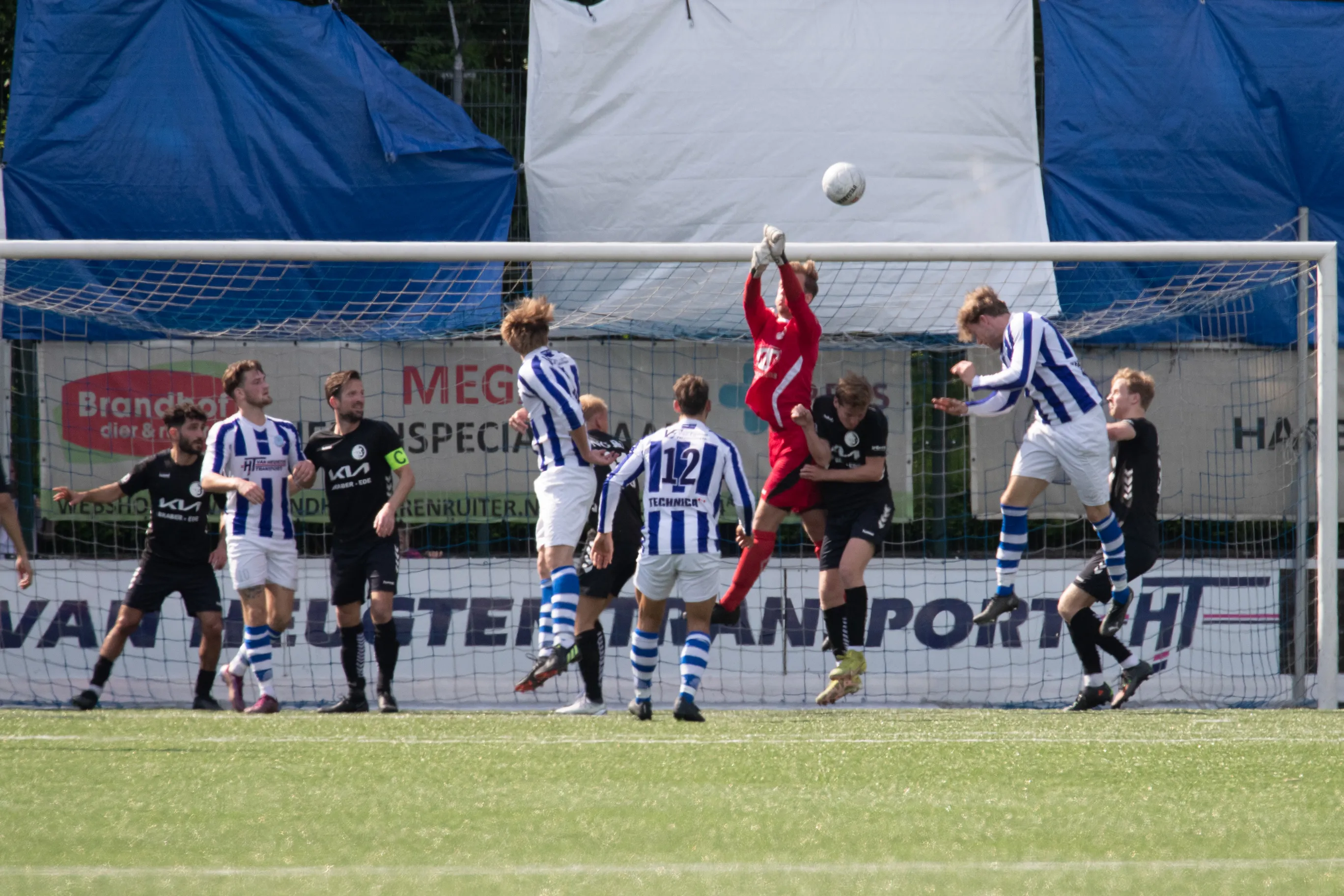 scherpenzeel dtsede 20