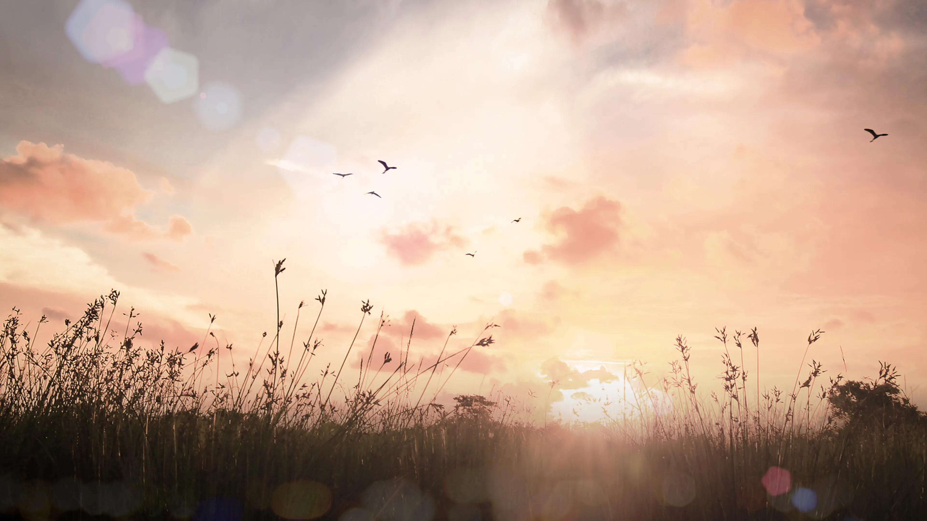 shutterstock 350846333
