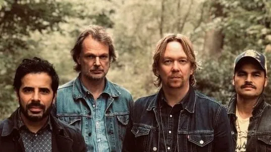 van dik hout