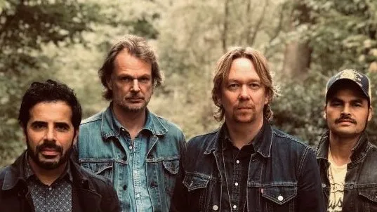 van dik hout