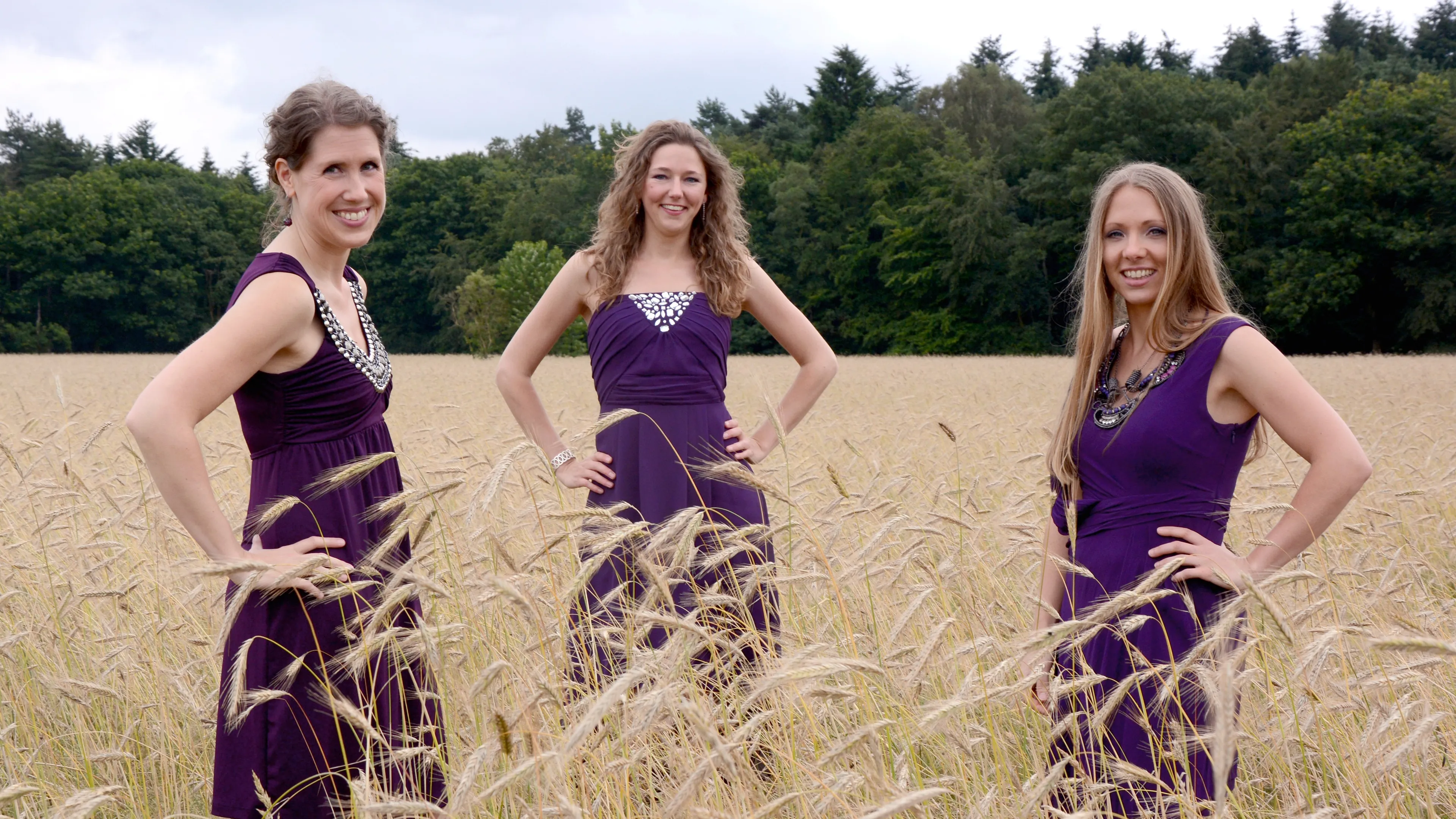 vivezza trio c