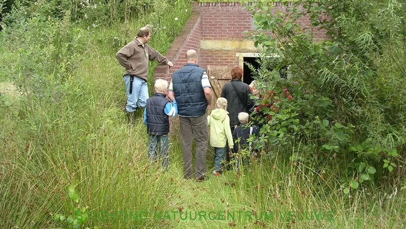 vleermuistocht 01