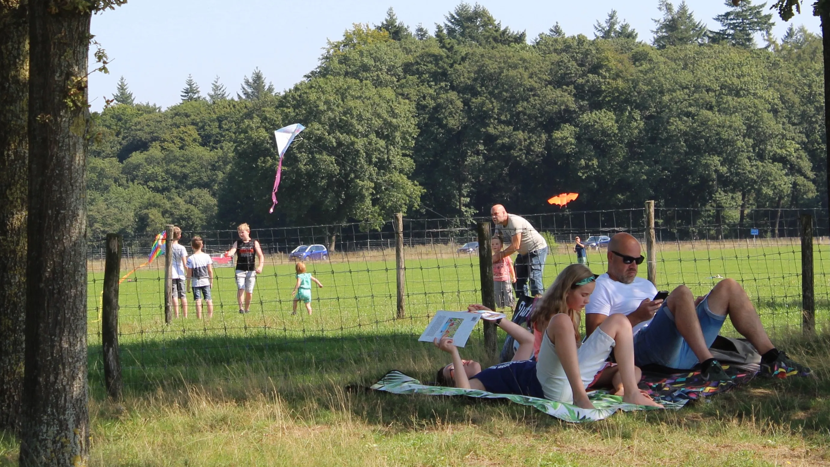 vliegfestijn1