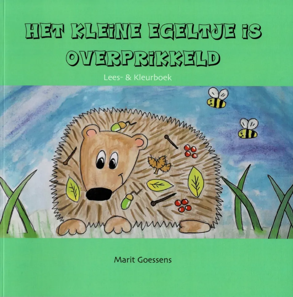 voorkant boek hke