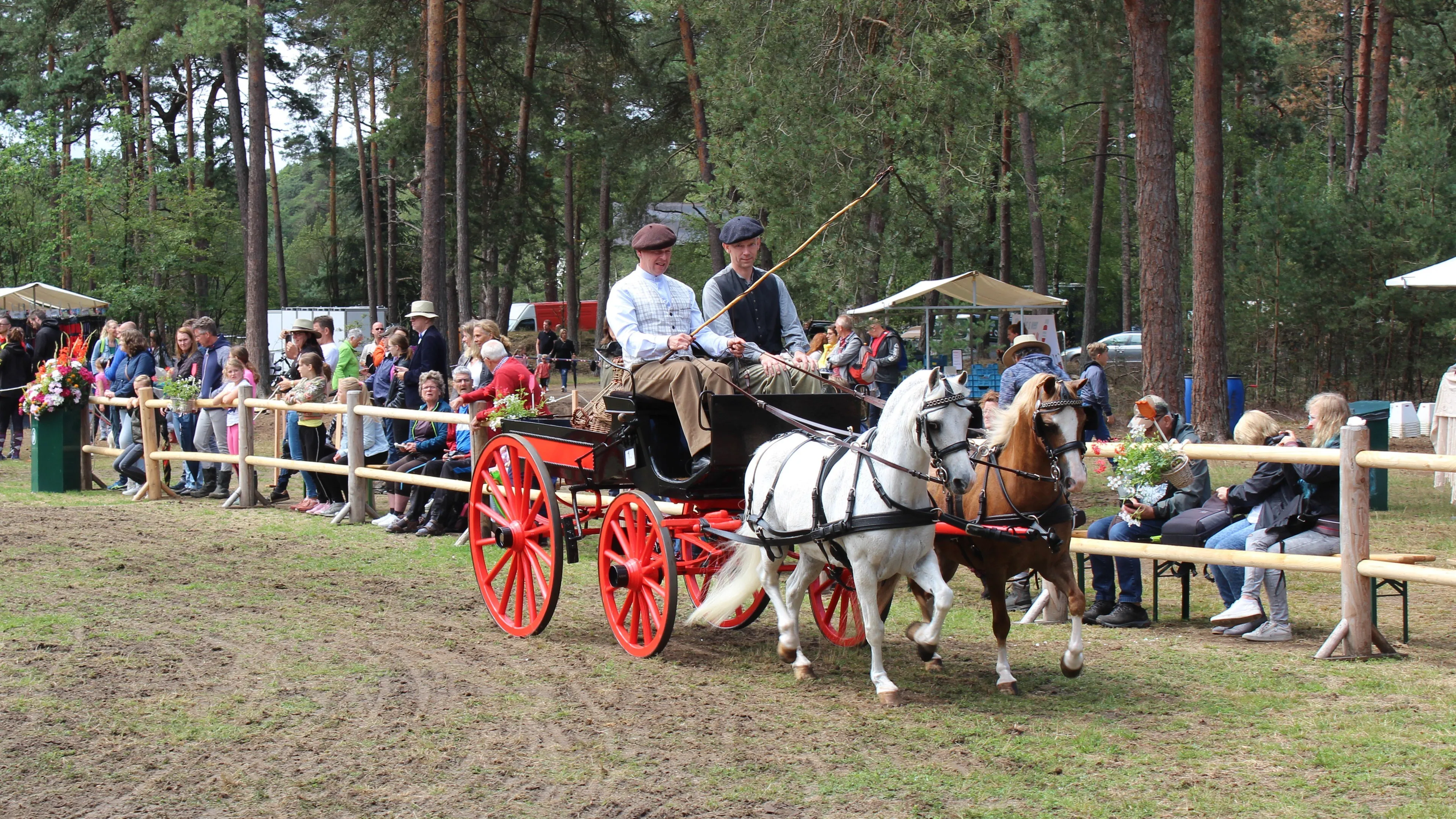 wagen weekend van het paard chris ouboter 2019