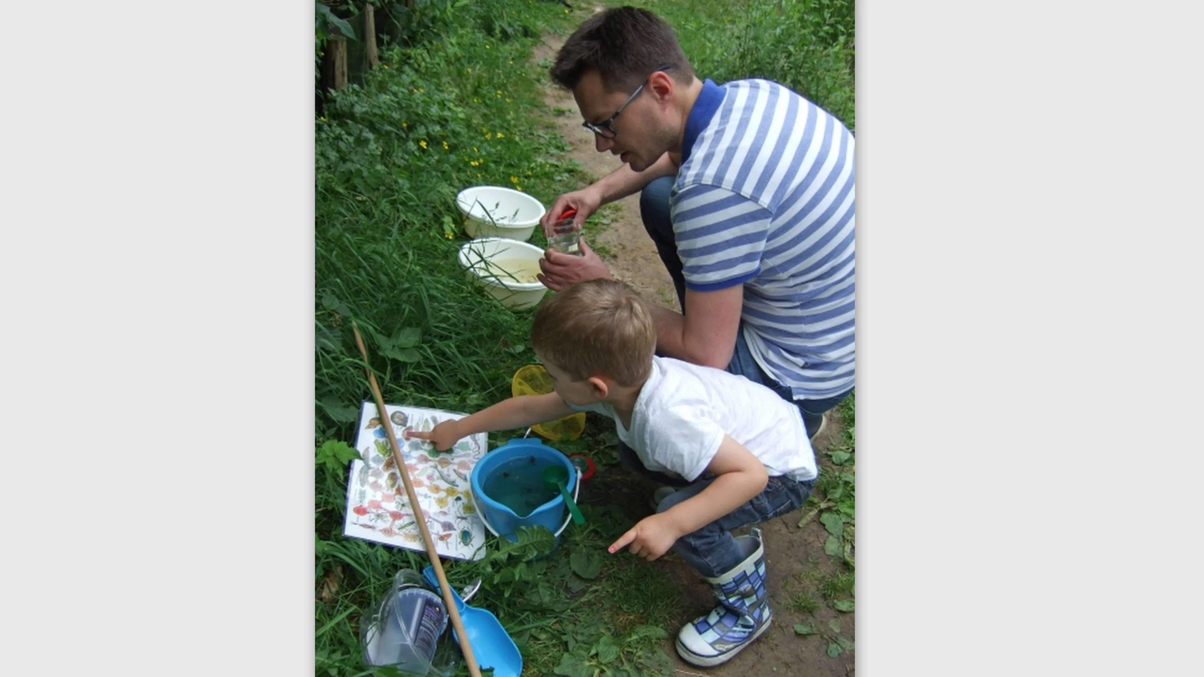 waterbeestjes