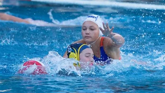 waterpolo poster n