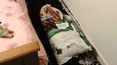 wijkagenten bennekom instagram