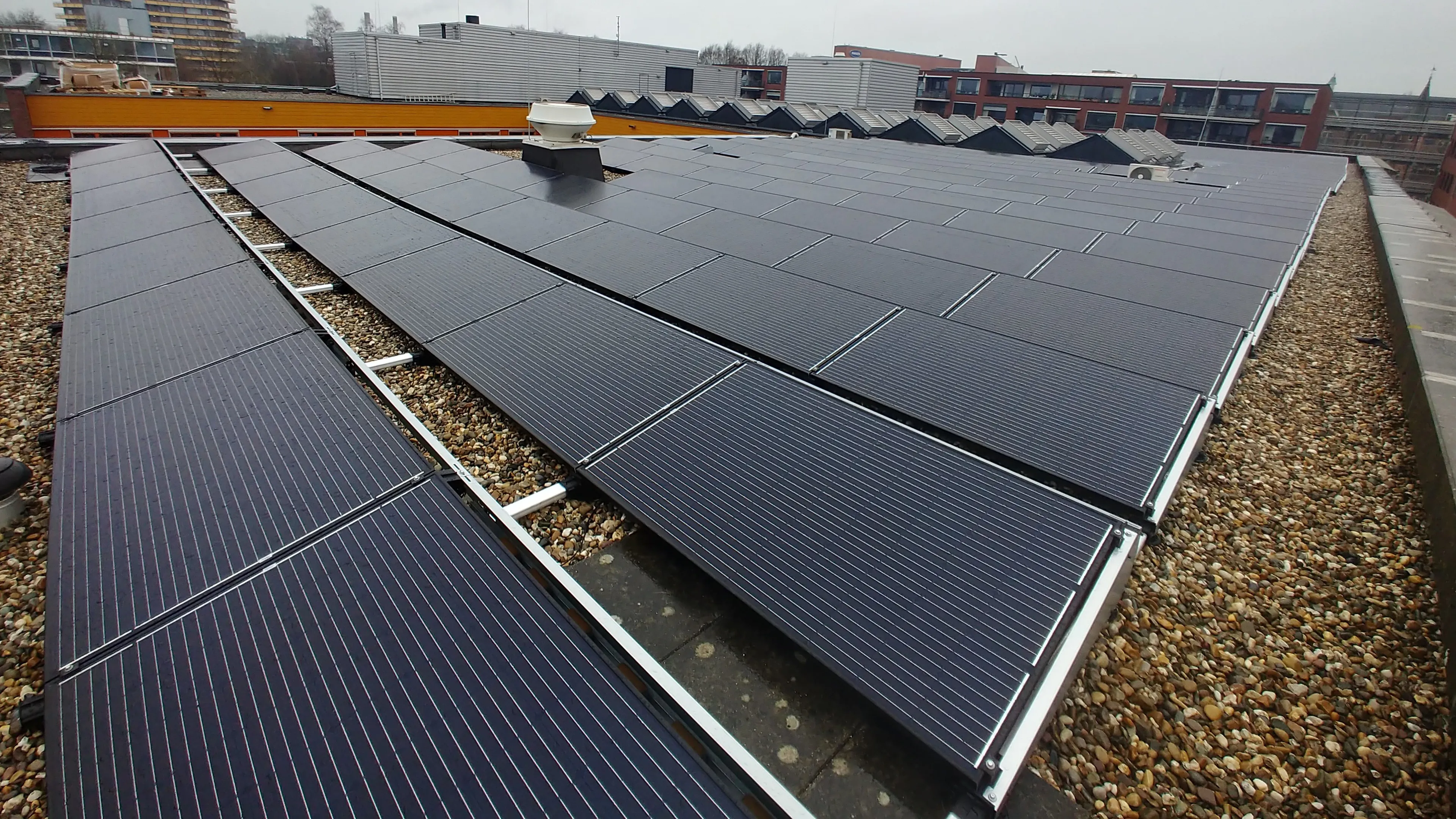 zonnepanalen op dag vilente pieter pauw 2