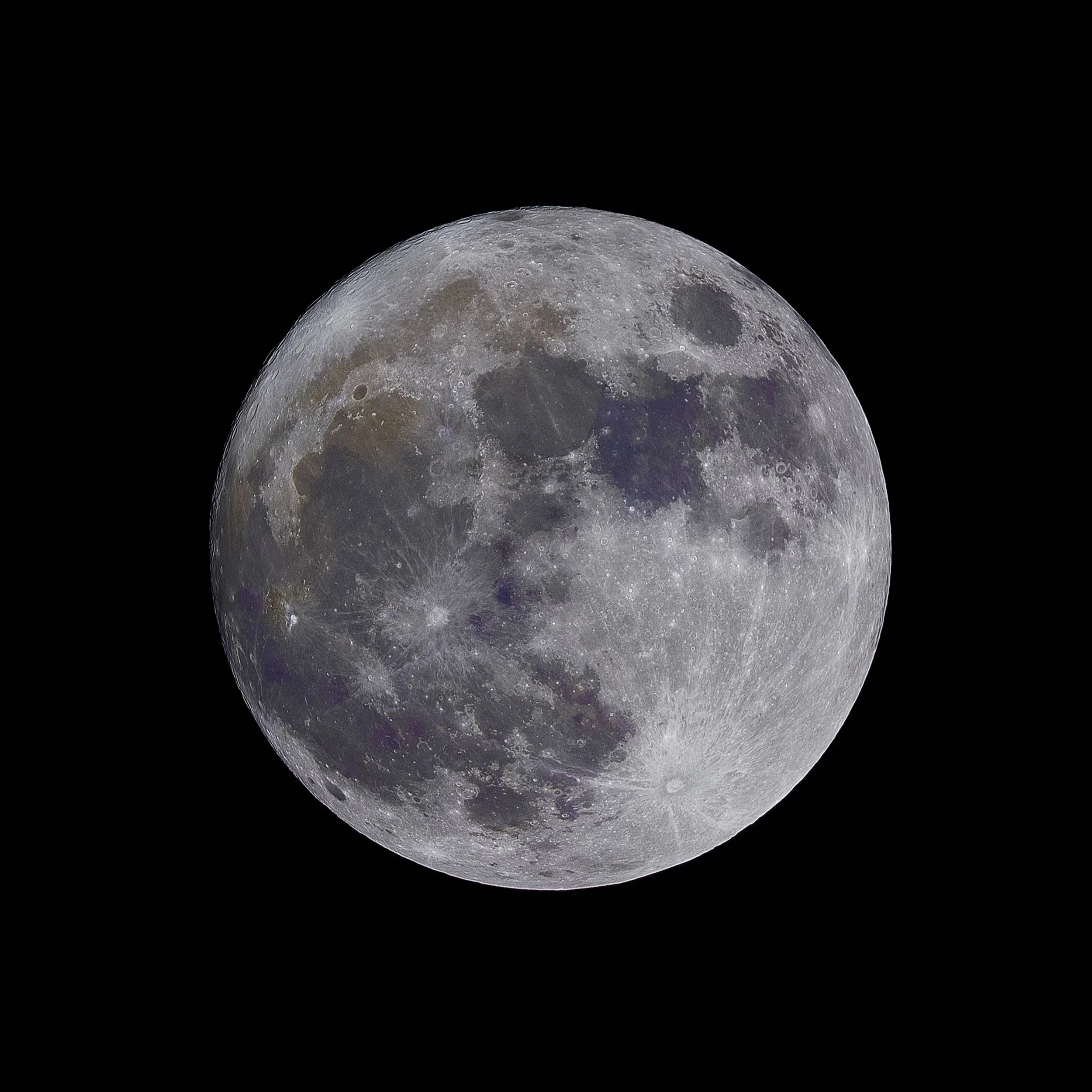 vollemaan 2