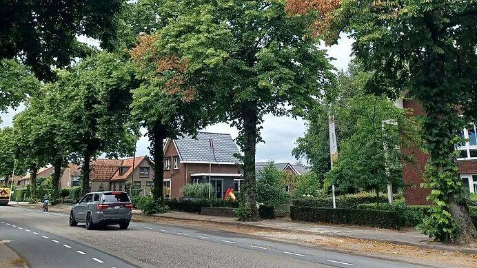 csm_PB_059_Vernieling_bomen_Wekerom_b6d7788f72