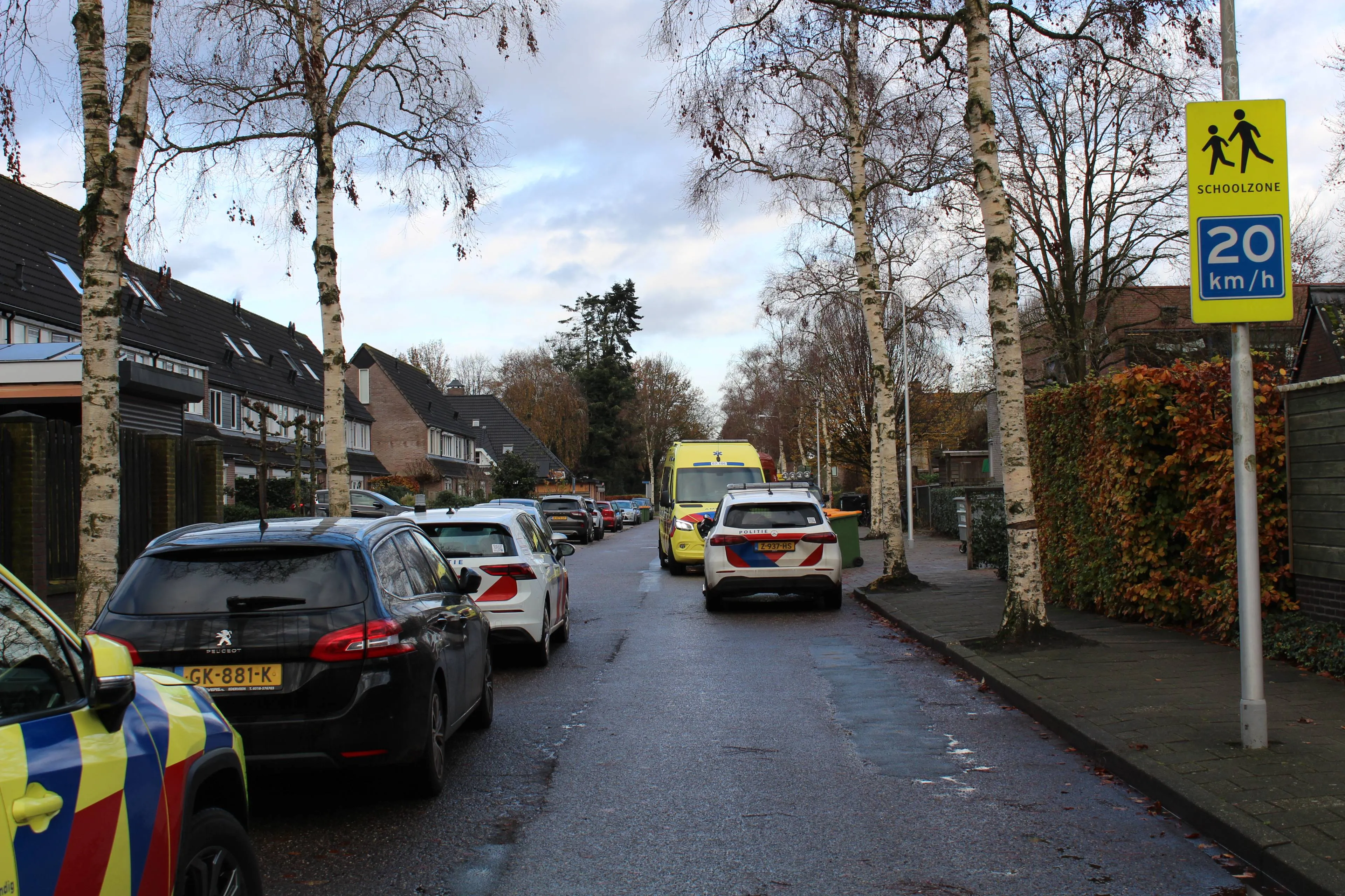 Reanimatie bij de Triangel in Lunteren