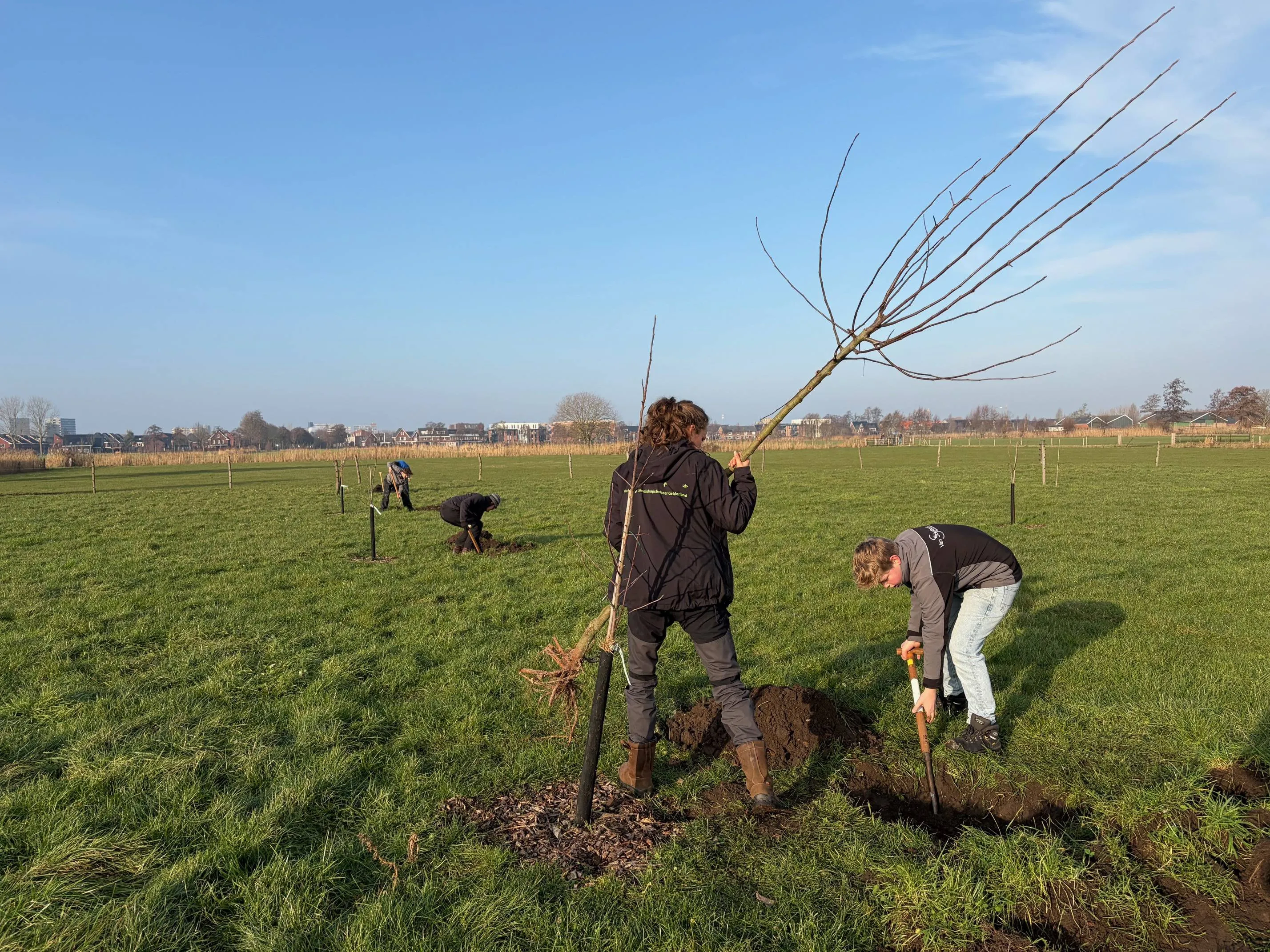 Fruitbomen planten_Carola van Ruiswijk2
