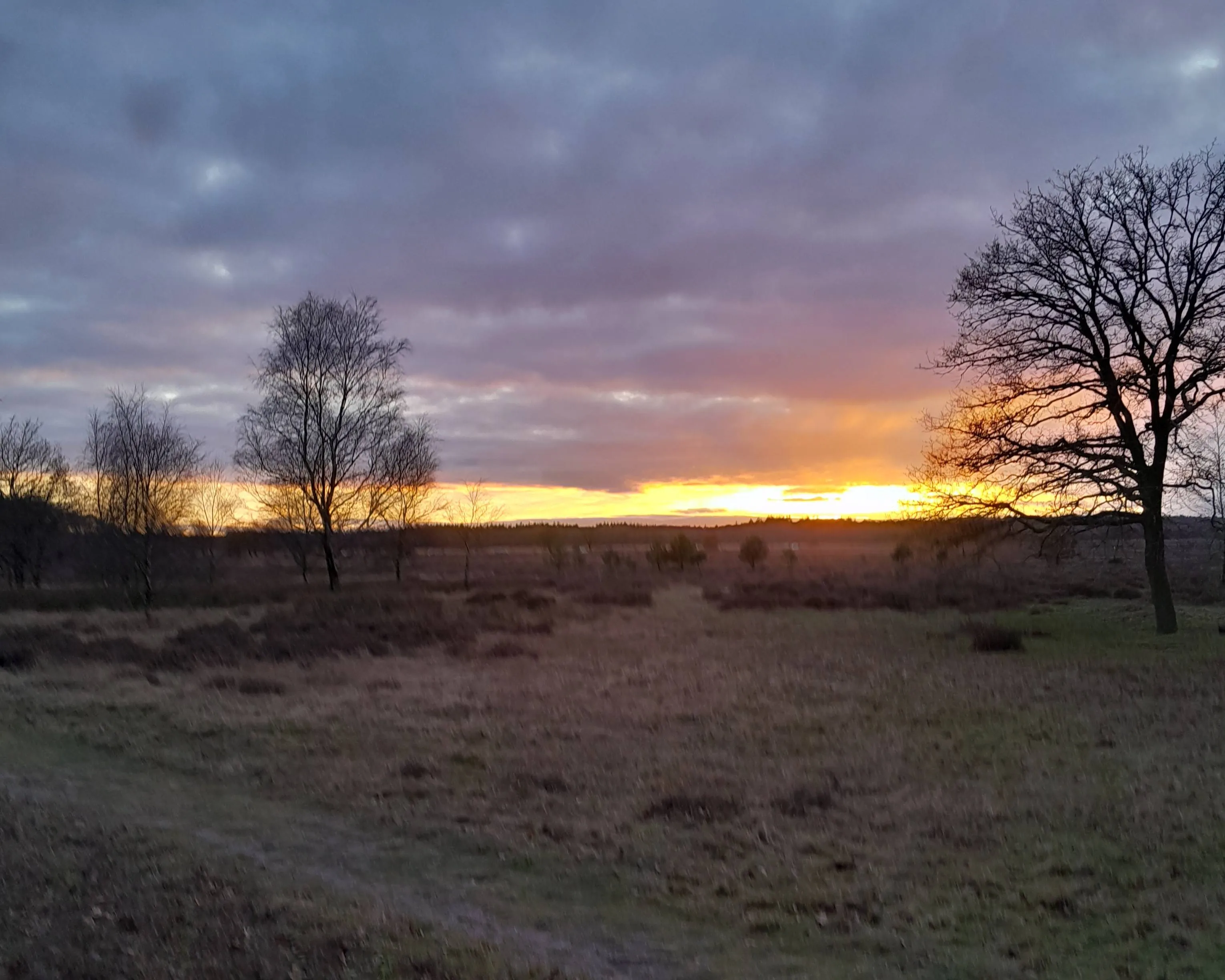 ondergaande zon - nc de ginkel