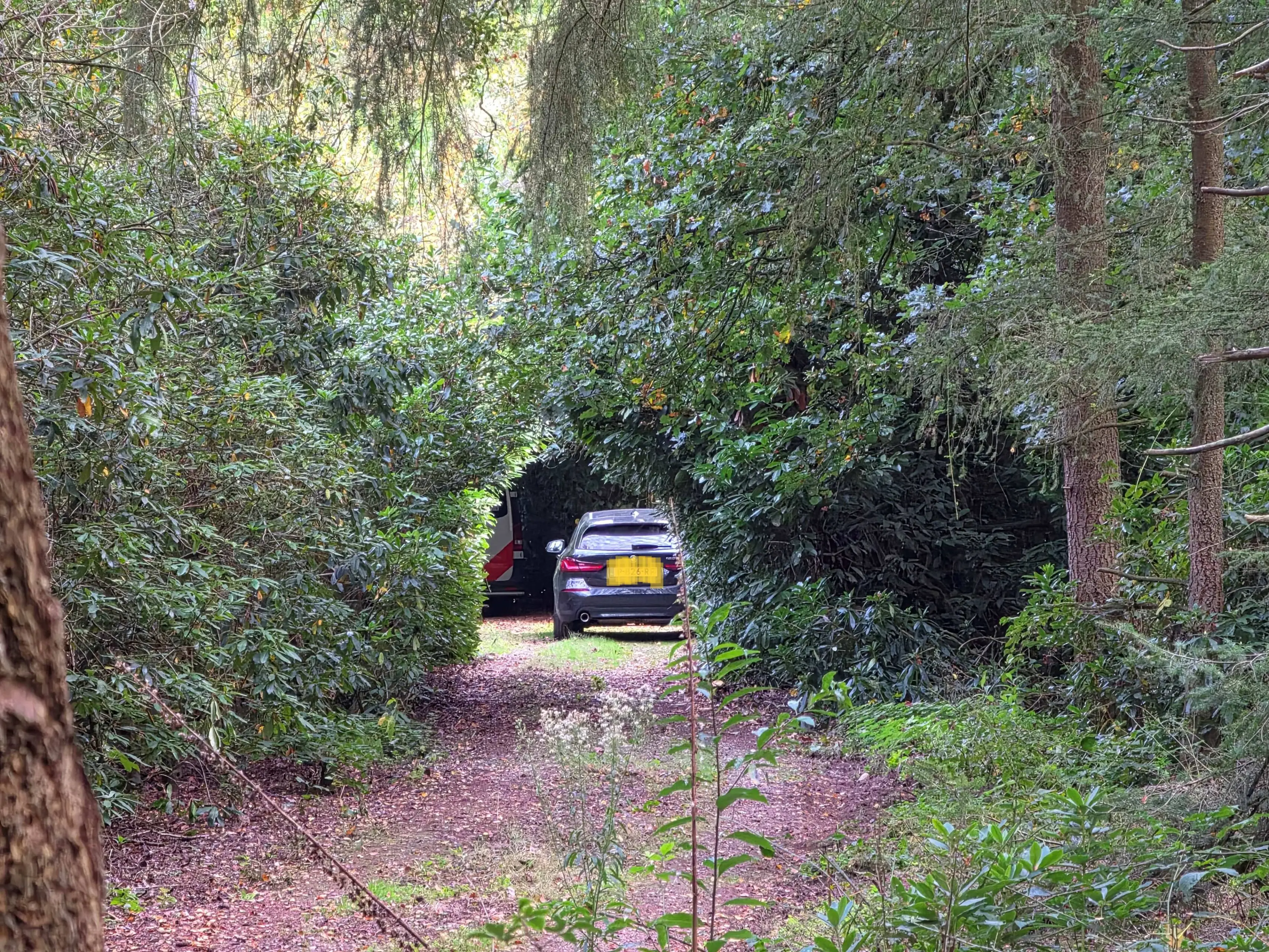 273543