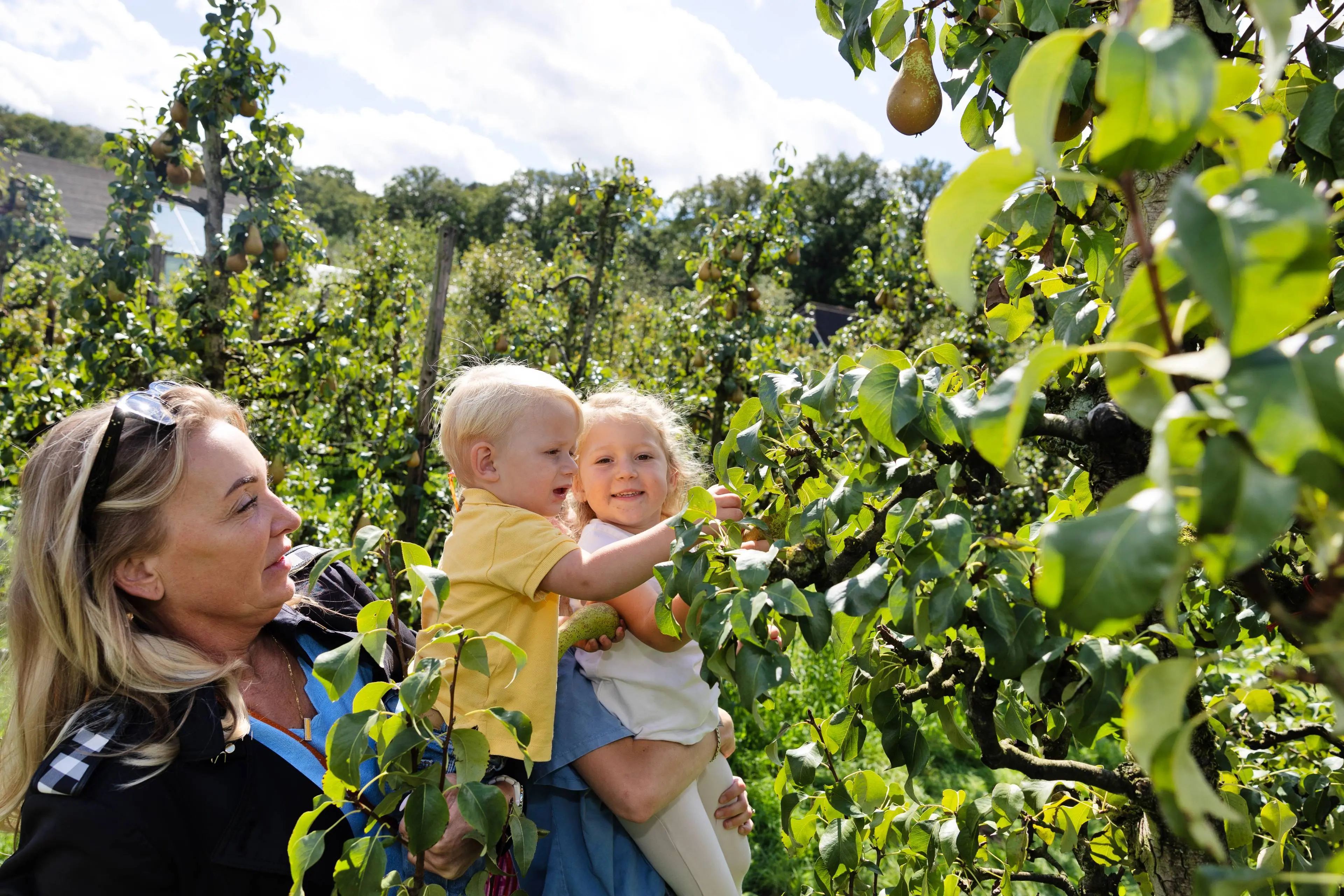240908 5930 Appelplukdagen