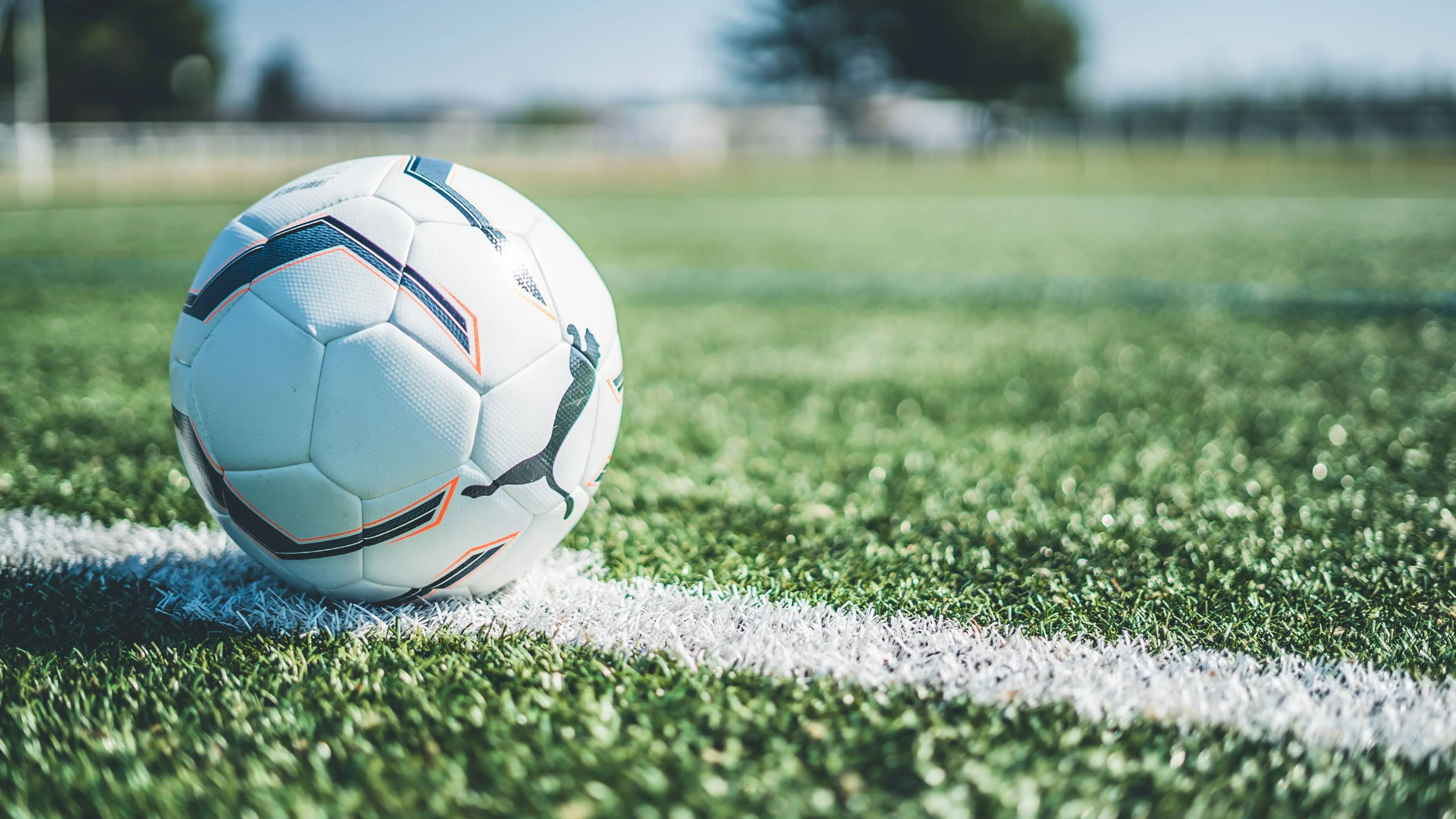 pexels gregory costa 5733516