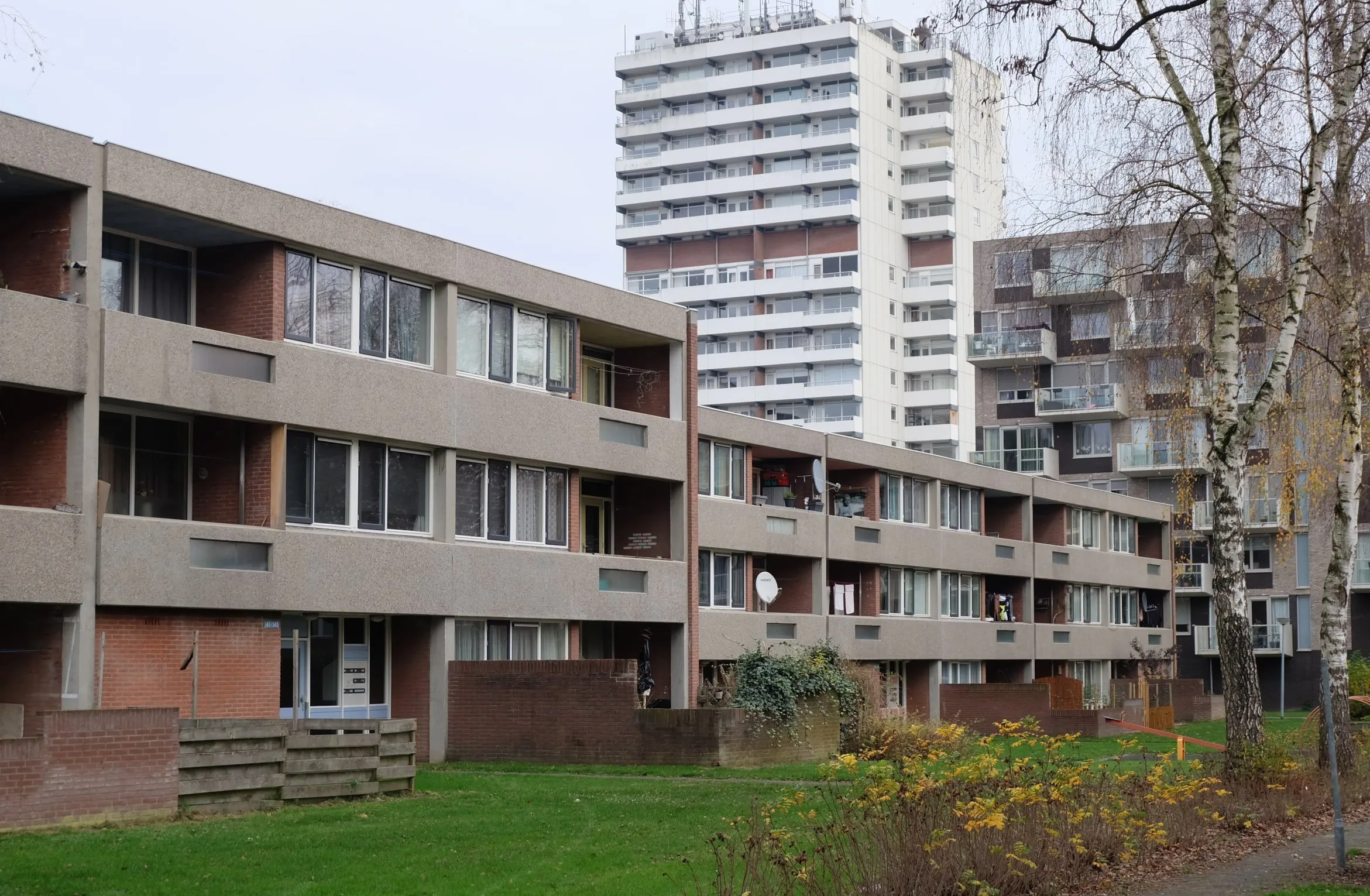 emmen emmerhout