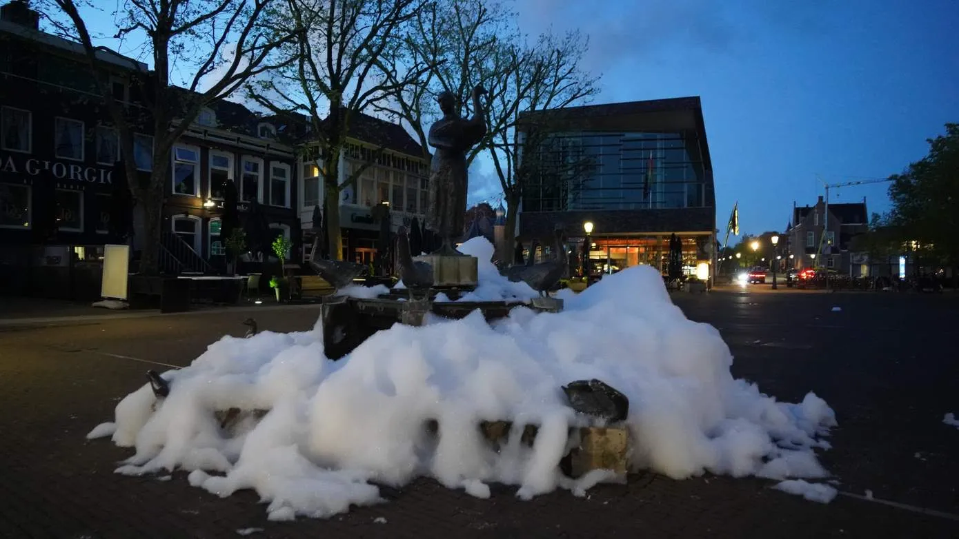 gansengeesje2