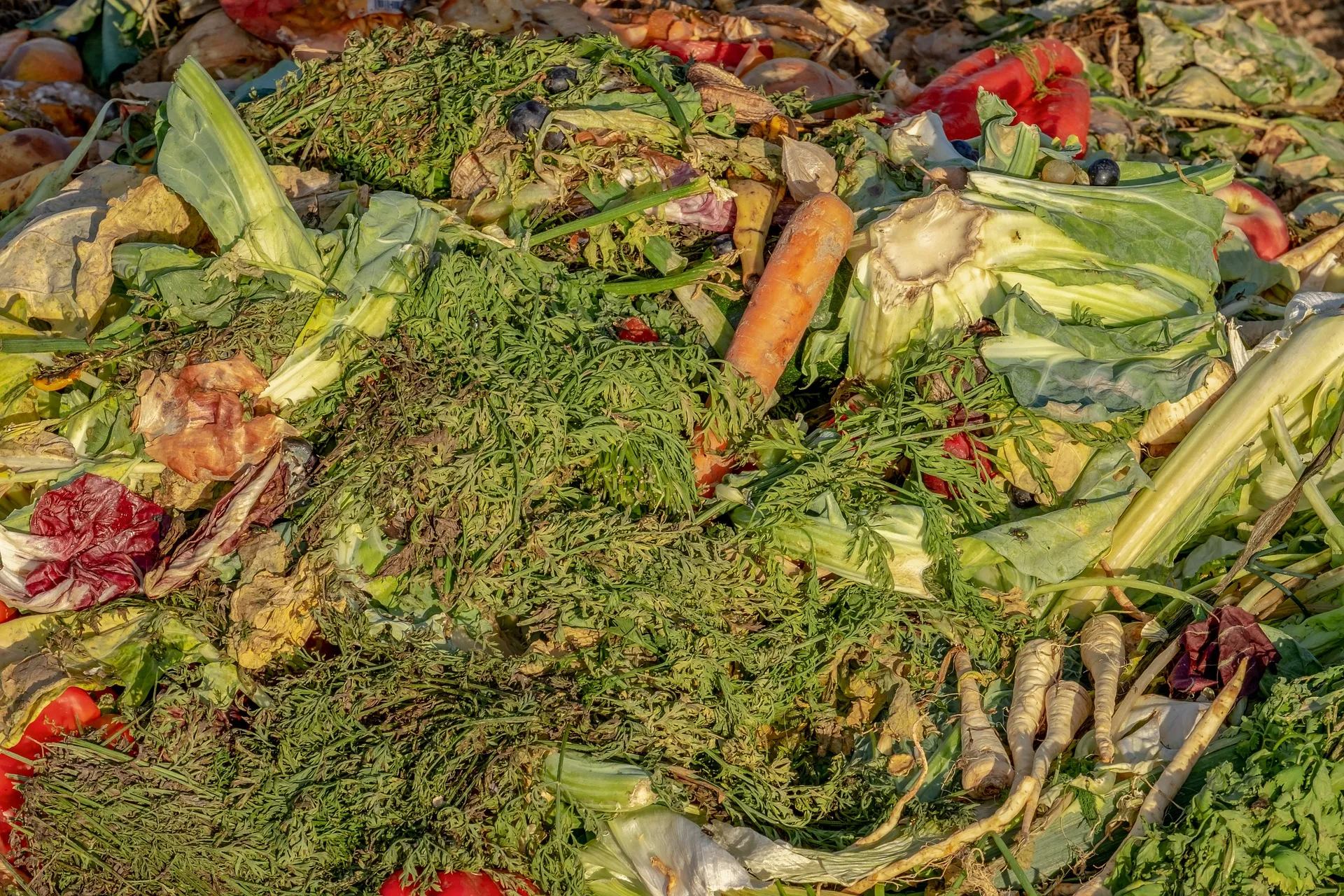 groenteafval pixabay compost 3663514 1920