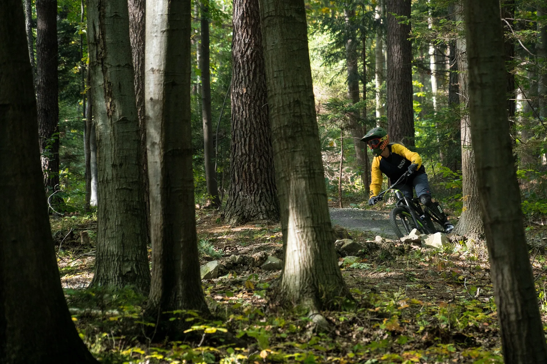 mtb atb mountainbike pixabay sport 3730209 1920
