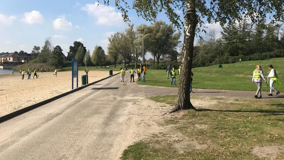 rietlanden opruimen