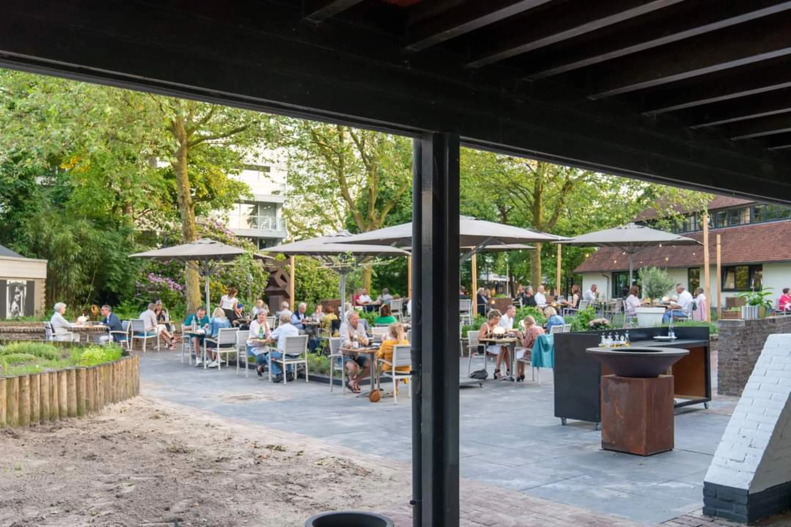 terras drommedaar