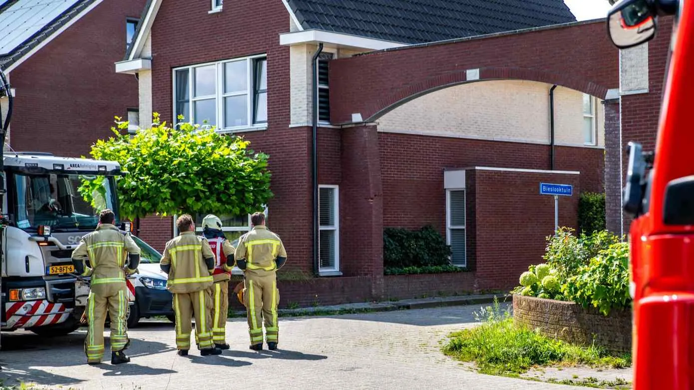 hvemmen