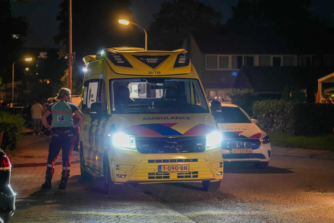 steekpartijemmen