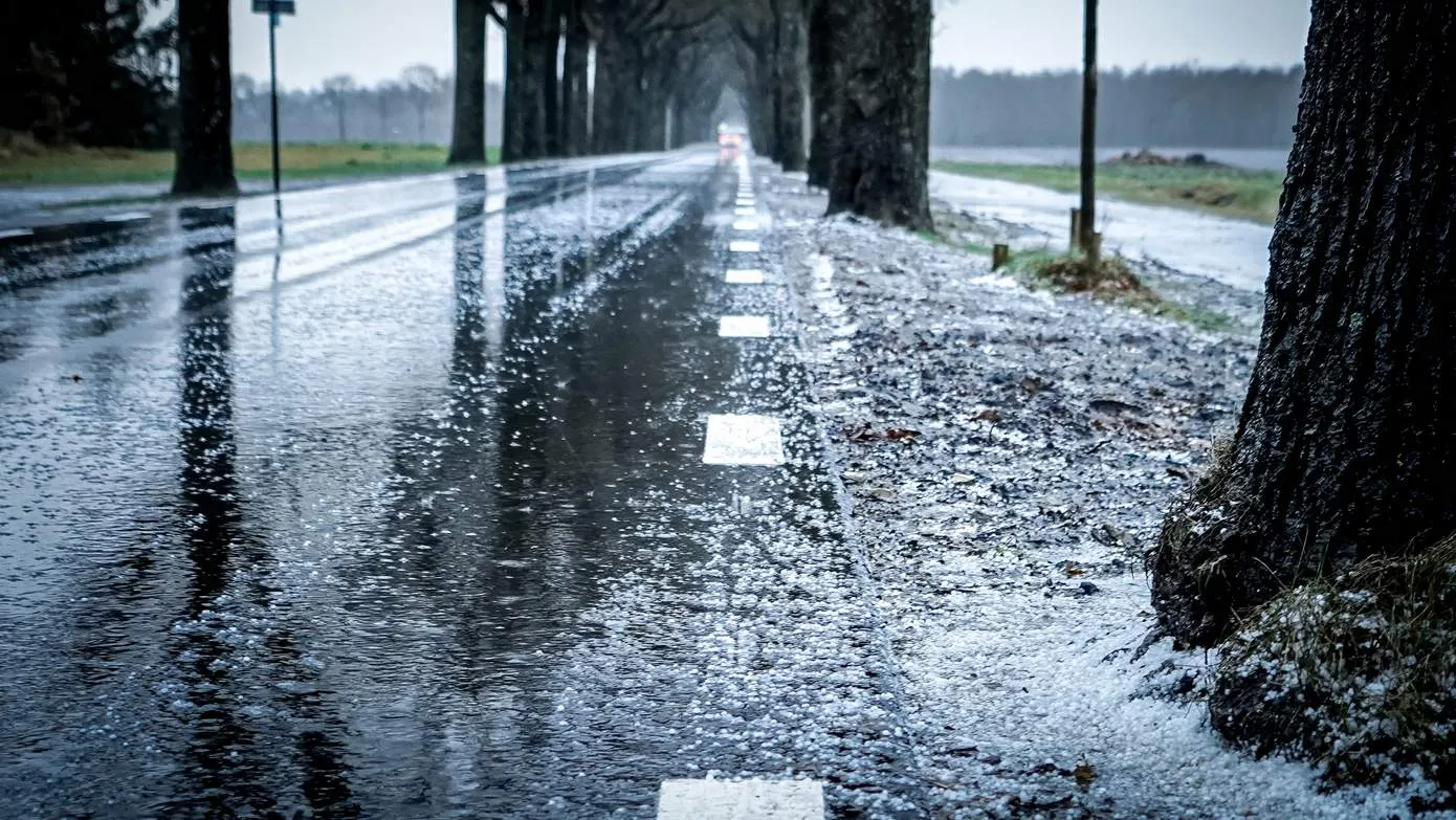 code geel gladheid