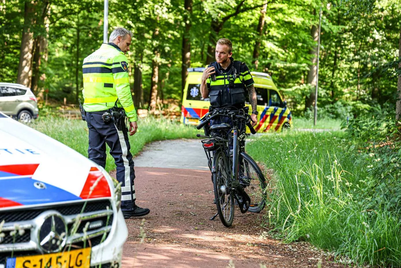 ongevalemmen