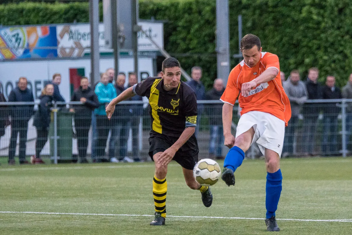 03en horstswifterbant