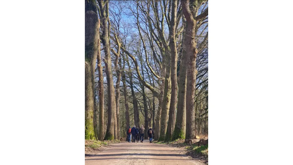 05en veluwsewandeldagen