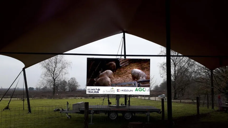 06en beeldenlammetjes