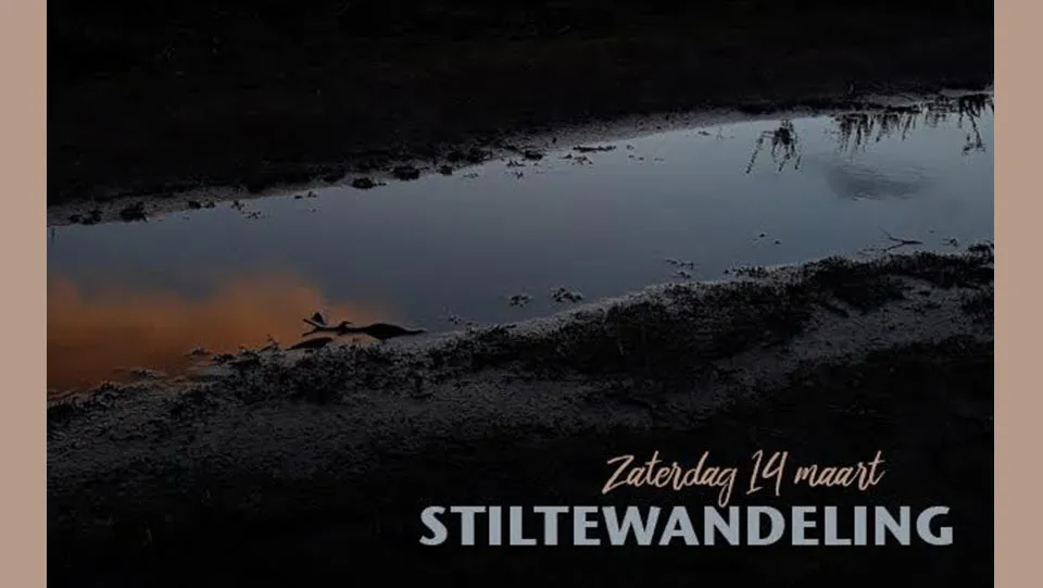 11en stiltewandeling