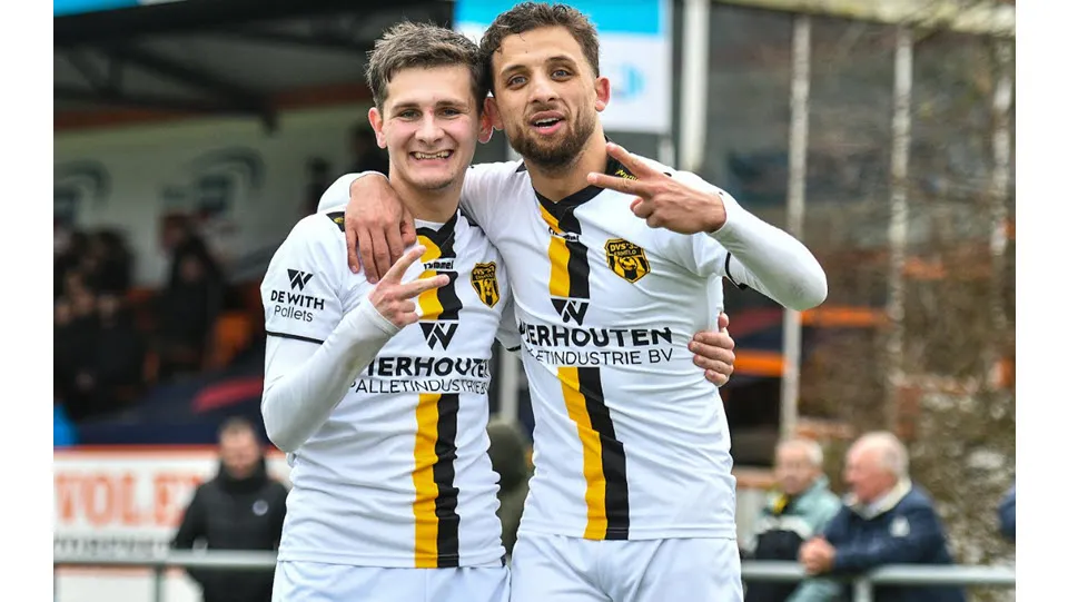 12en dvsv1